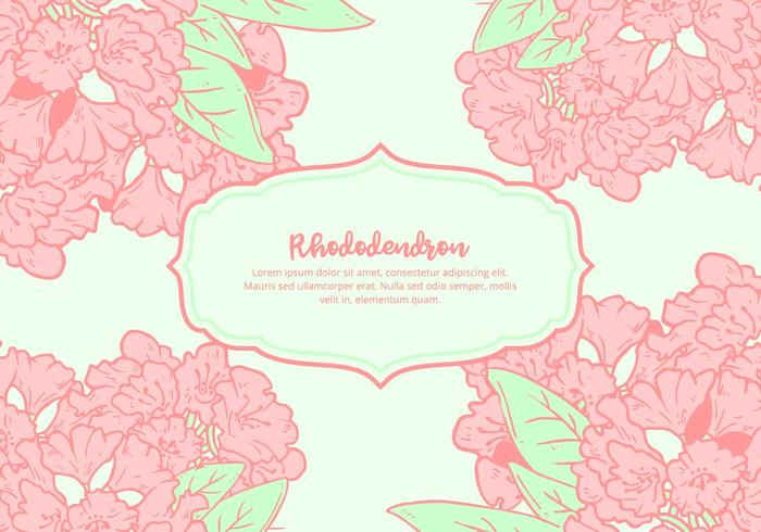 Rhododendron Background vector