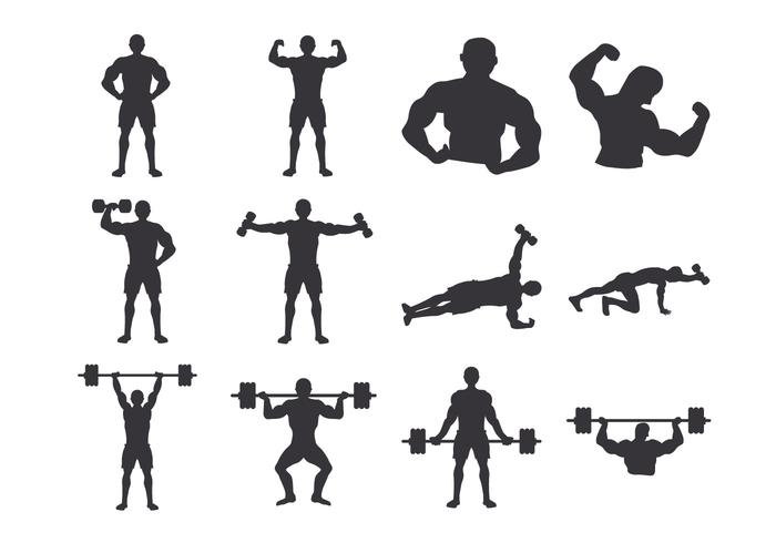 Bodybuilder Body vector