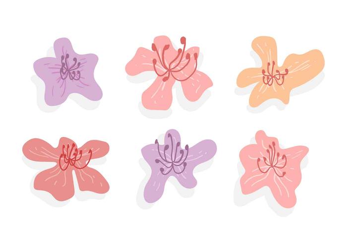 Free Beautiful Rhododendron Flower Vectors Free Beautiful Rhododendron Flower Vectors