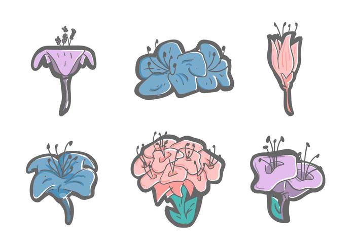 Beautiful Rhododendron Flower Vectors