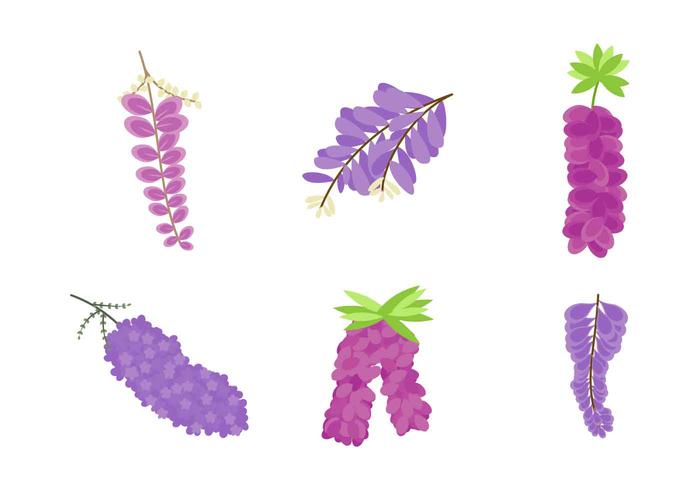 Free Beautiful Wisteria Flower Vectors Free Beautiful Wisteria Flower Vectors