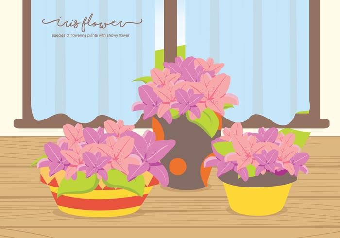 Iris Flower On The Table Illustration vector