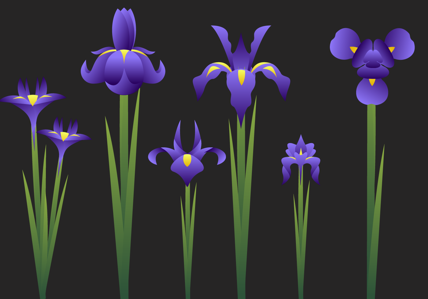 Beautiful Iris Flower Vector - Download Free Vectors ...
