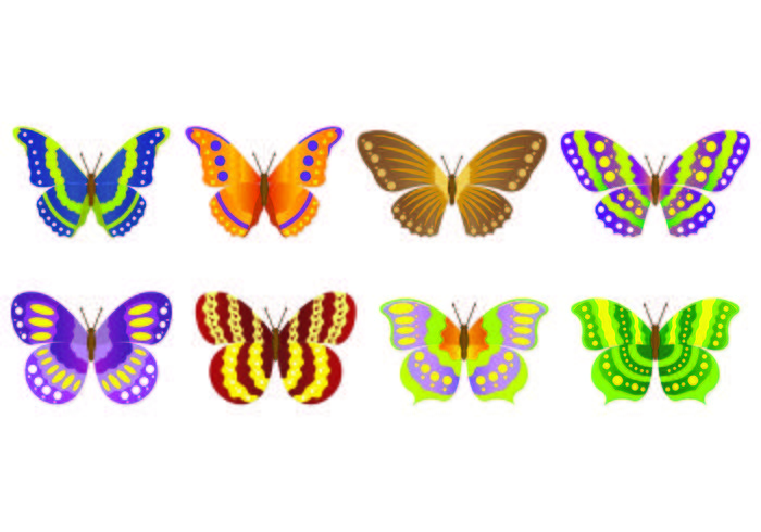 Conjunto De Mariposa Vectores