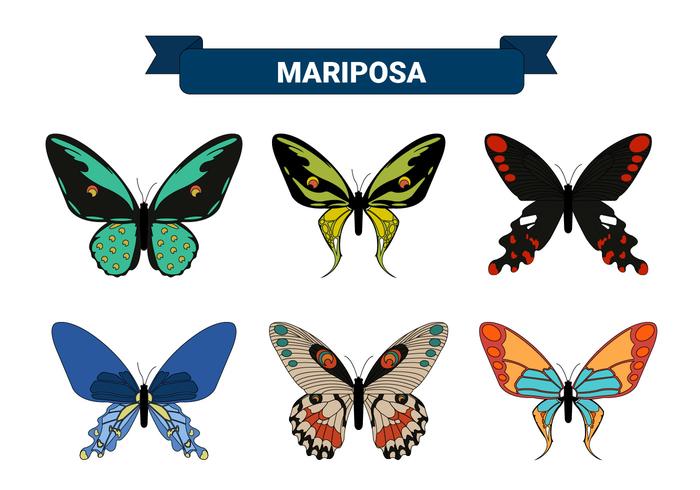 Colecciones de colores vector de mariposa