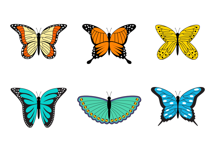 Colección De Mariposa Vector