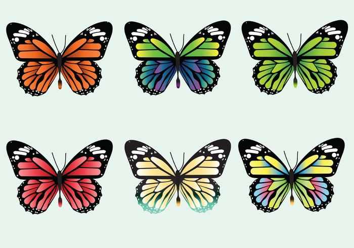 Mariposa Vector Pack