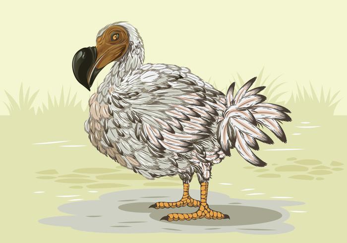 Perfil del lado del pájaro del Dodo vector