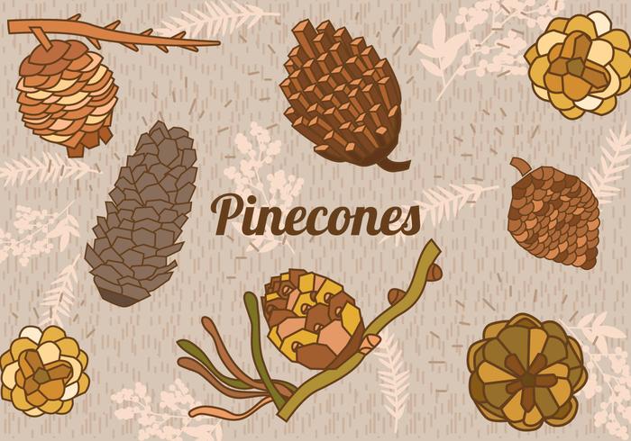 Set Of Pine Cones vector