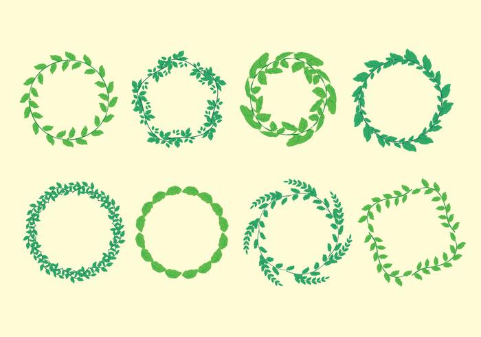 Stevia Leaf Frame Vector