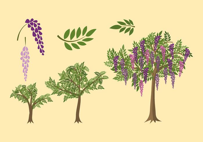 Wisteria planta crecen vector libre