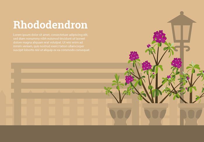 Rhododendron Jardín Vector Libre