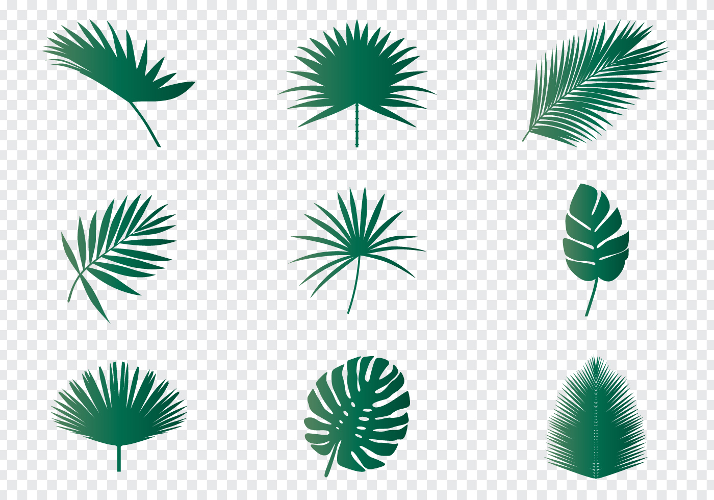 Palm Leaves 148126 royalty-free Vector from Vecteezy for your project and e...