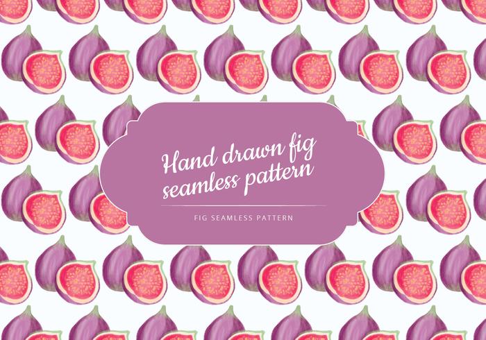 Vector Hand Drawn Figs Seamless Pattern