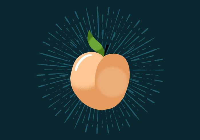 Radiant Peach vector