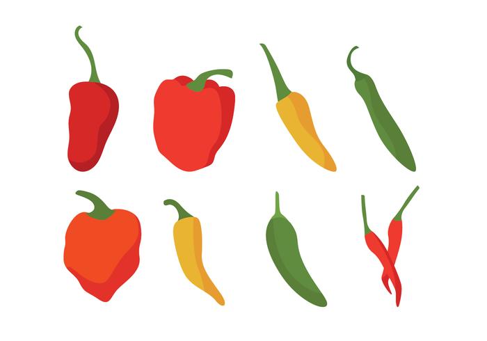 Different Chili Peppers Vector Set