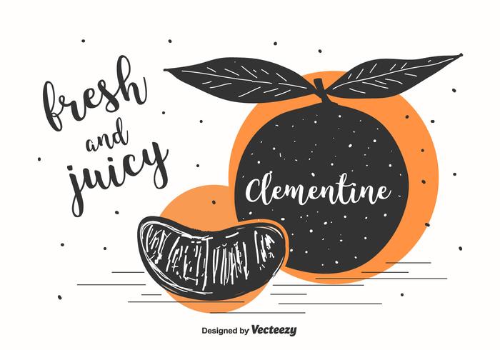 Clementine Illustration Background vector