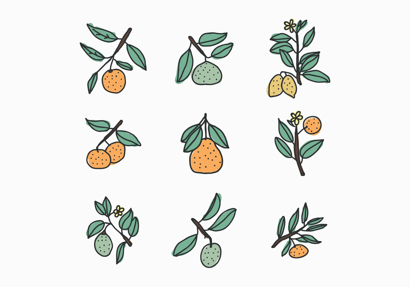 Citrus_doodles