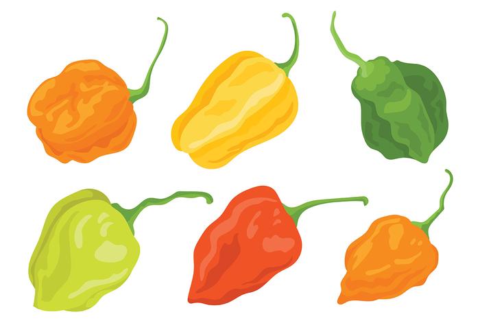 Habanero Vector Iconos