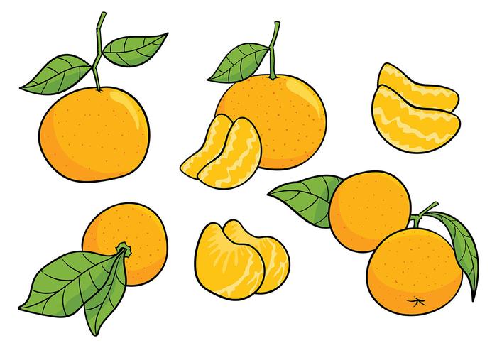 Clementine Vector Icons 148453 Vector Art at Vecteezy