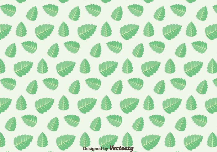 Green Leaf Stevia Pattern Vector