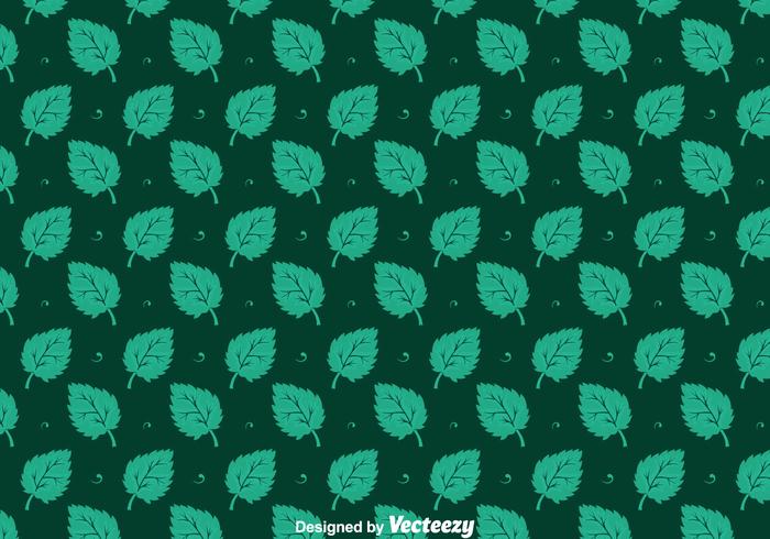 Stevia Leaves Seamless Pattern Vectors Stevia Leaves Seamless Pattern Vectors