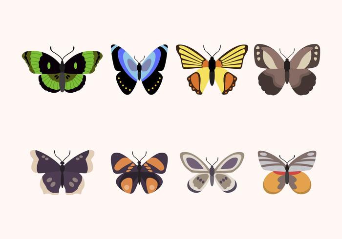 Flat Butterfly Vectors