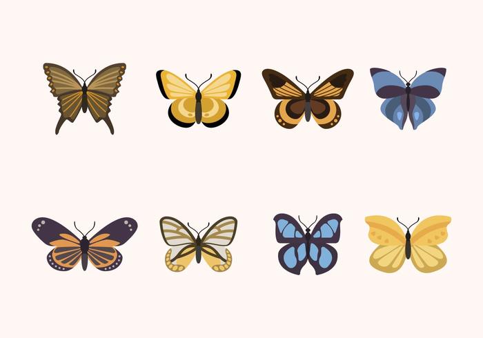 Flat Butterfly Vectors