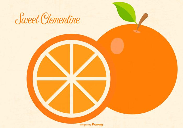 Flat Clementine Illustration vector