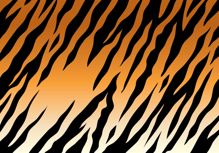 Tiger Stripe Background vector