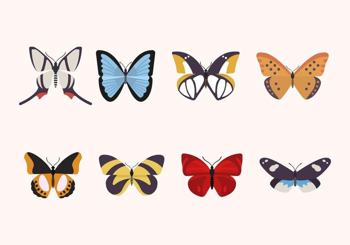 Flat Butterfly Vectors