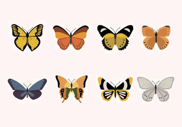 Flat Butterfly Vectors