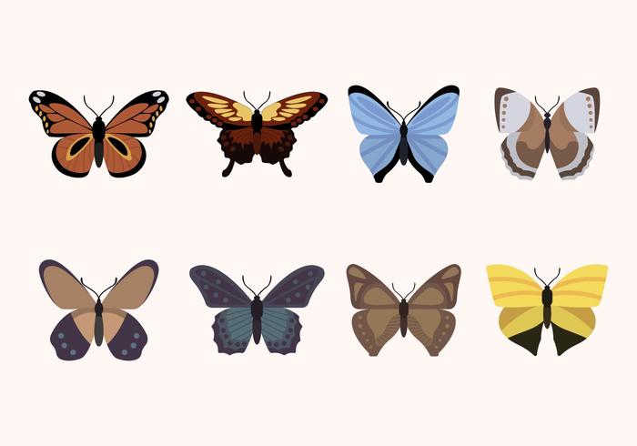 Flat Butterfly Vectors
