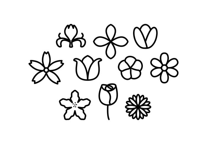 Free Flowers Line Icon Vector