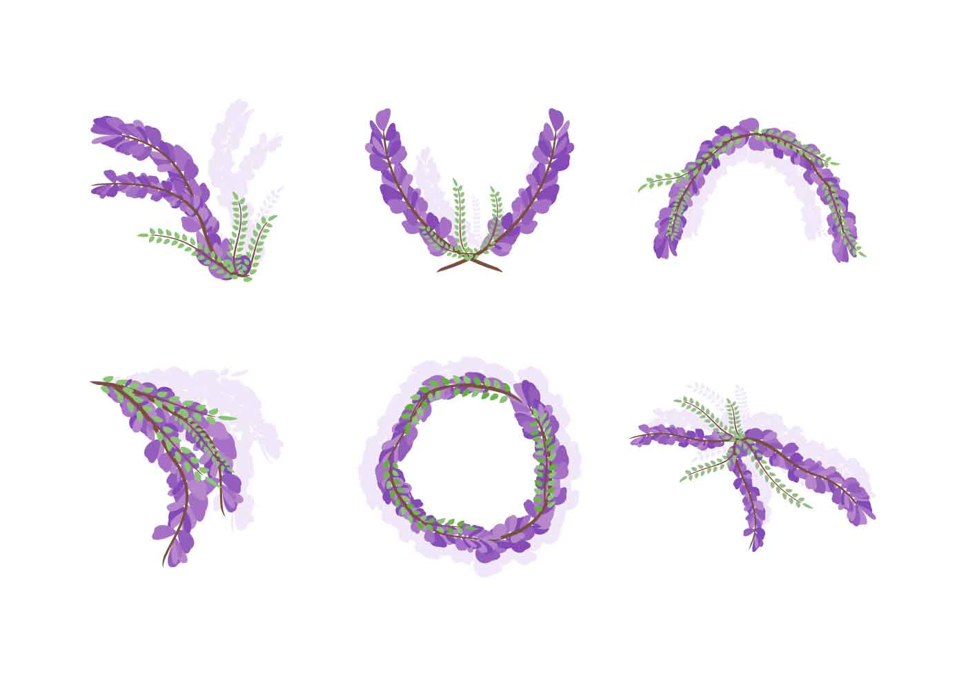 Wisteria Flower Vector