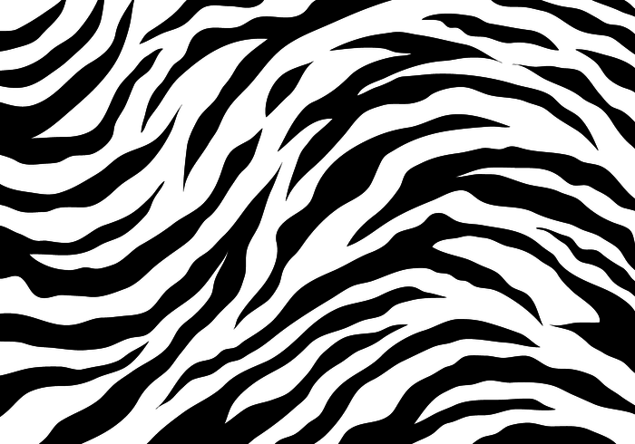 White Tiger Stripes 148777 Vector Art at Vecteezy