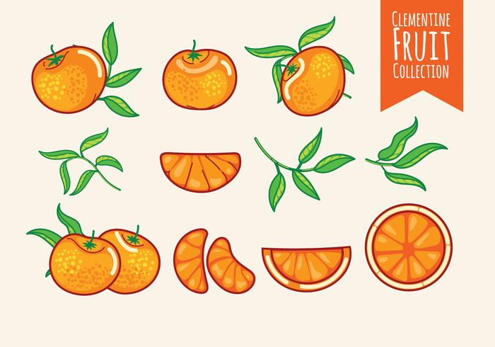 Conjunto de frutas de Clementine vector