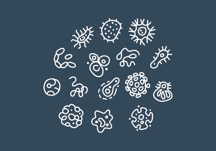 Bacterias y dibujos del vector del molde