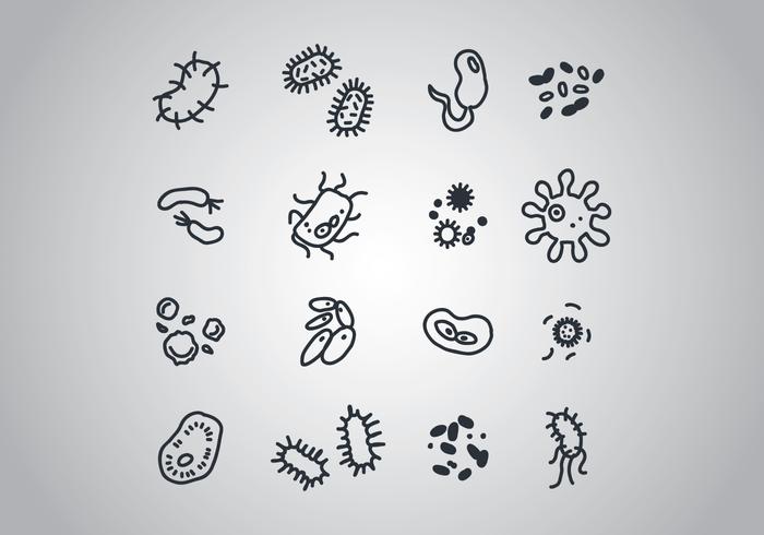 Set Of Bacterias vector