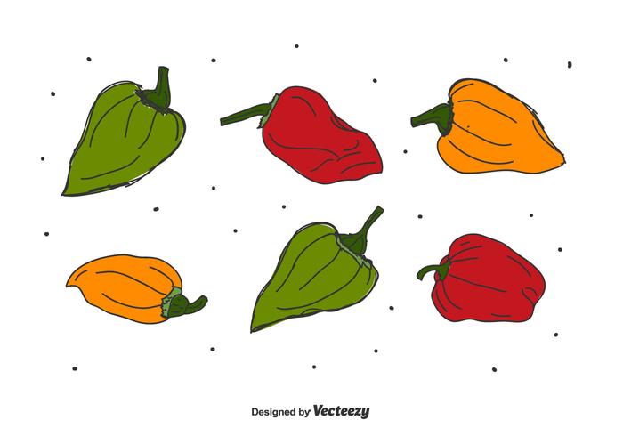 Mano dibujada Habanero Vector