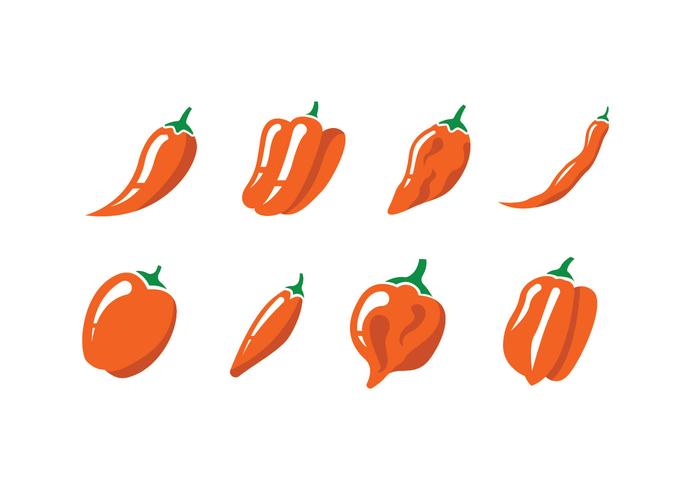 Chili peppers vector icon