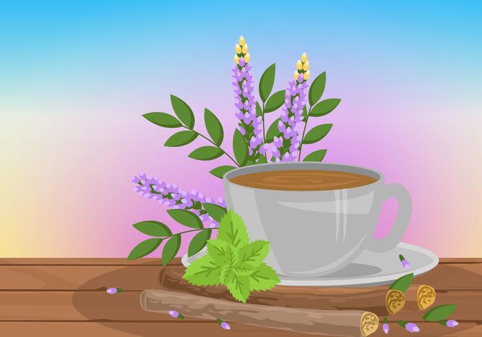 Licorice Root Tea Vector