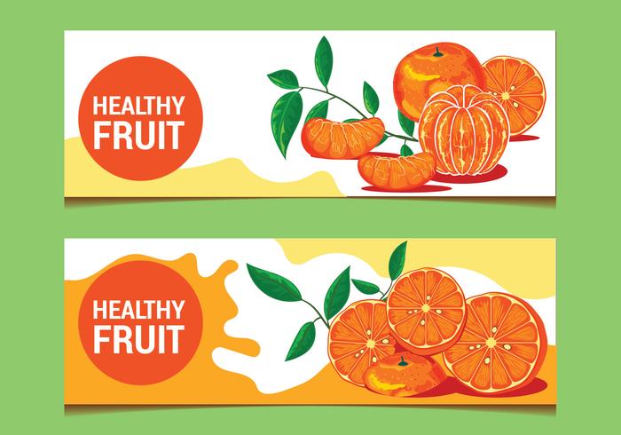 Clementine Fruits on Banner Background vector