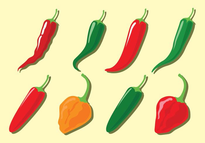 Iconos del vector de la pimienta de chile