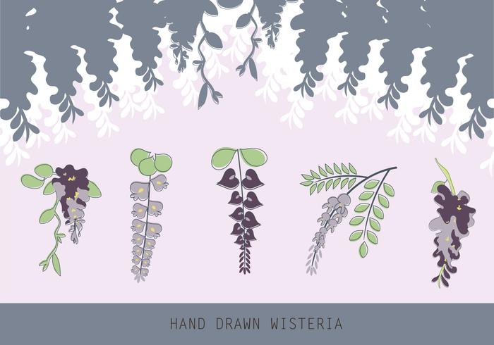 Hand Drawn Wisteria Flat Vector