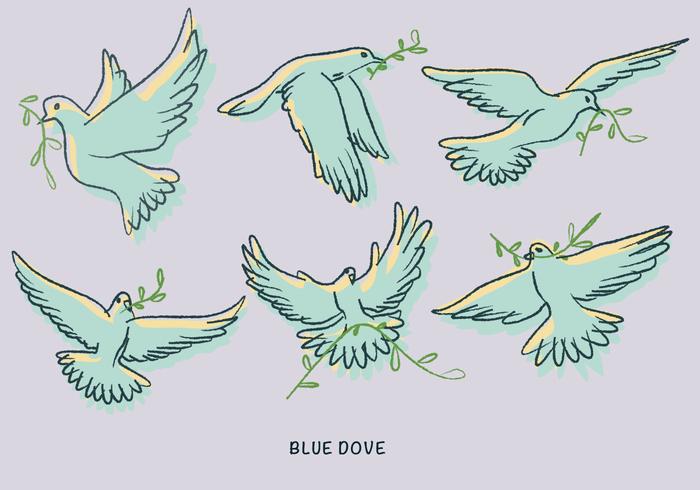 White Blue Dove Paloma Doodle Illustration Vector