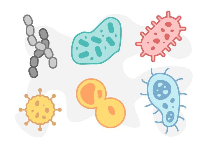 Free Cute Mold Vectors Free Cute Mold Vectors