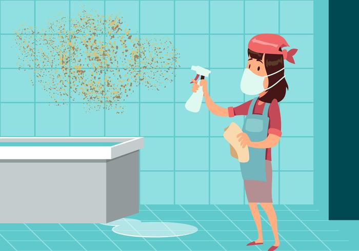 Woman Cleaning Mold Vector 