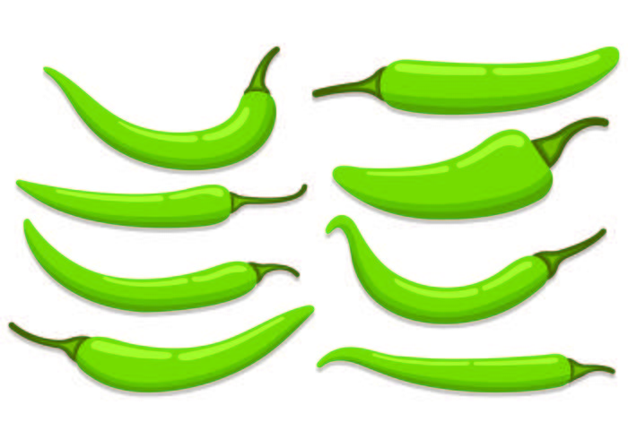 Set Of Chili Vectors