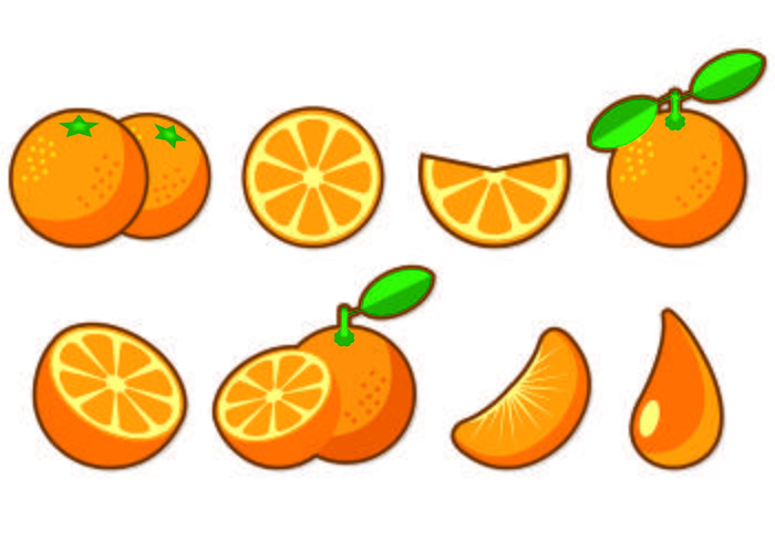 Conjunto De Iconos De Fruta Clementina vector